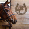 Joycorners Horse Shoe Personalized Sign and Decor, Horse Gift and Horse Wall Art, Horse Girl LM0110