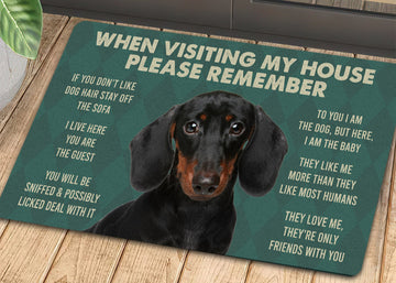 Joycorners Dachshunds Dog Doormat, Please Remember I Live Here Gift For Dog Lovers, Housewarming Gift, Dog Decor LM0210