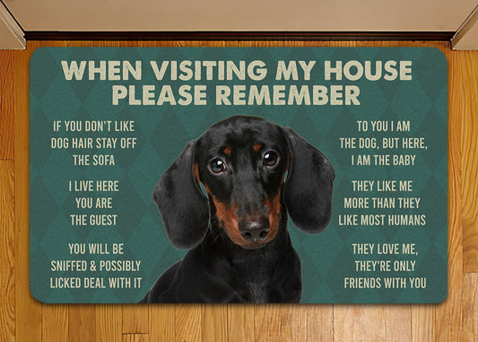 Joycorners Dachshunds Dog Doormat, Please Remember I Live Here Gift For Dog Lovers, Housewarming Gift, Dog Decor LM0210