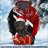 Joycorners Dachshund Christmas 3D Custom Name And Dog Full Print Shirts