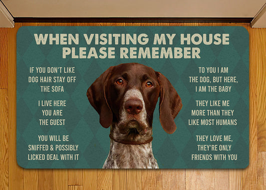 Joycorners Pointers Dogs Doormat, Please Remember I Live Here Gift For Dog Lovers, Housewarming Gift, Dog Decor LM0210