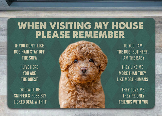 Joycorners Poodles Dogs Doormat, Please Remember I Live Here Gift For Dog Lovers, Housewarming Gift, Dog Decor LM0210
