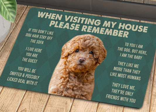 Joycorners Poodles Dogs Doormat, Please Remember I Live Here Gift For Dog Lovers, Housewarming Gift, Dog Decor LM0210