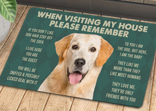 Joycorners Retrievers Labrador Dog Doormat, Please Remember I Live Here Gift For Dog Lovers, Housewarming Gift, Dog Decor LM0210