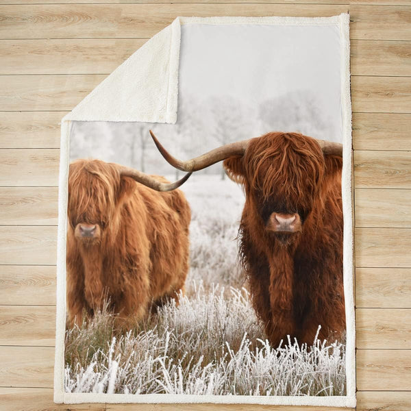 Joy Corners Highland Cattle 3D Printed Blanket
