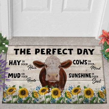 Joycorner Hereford The Perfect Day Doormat, Farmhouse Doormat, Welcome Mat