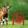 Joycorners Floral Goat Metal Stake for Yard - Unique Outdoor Art - Charming Farmhouse Decor - Rustic Garden Decoration - Cute Personalized Farm Sign LM0110