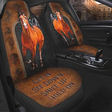 Joycorners Horse Get In Sit Down Shut Up Hold On Car Seat Cover Set (2Pcs)