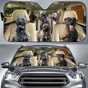 Joycorners PRESA CANARIO CAR All Over Printed 3D Sun Shade