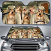 Joycorners BERGER PICARD CAR All Over Printed 3D Sun Shade