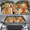 Joycorners AUSTRALIAN TERRIER CAR All Over Printed 3D Sun Shade