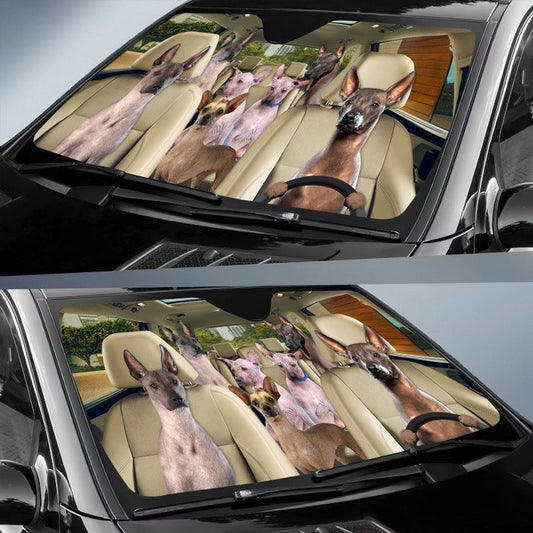 Joycorners XOLOITZCUINTLI CAR All Over Printed 3D Sun Shade