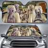 Joycorners WEIMARANER CAR All Over Printed 3D Sun Shade