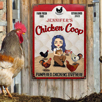 Pampered Chickens Live Here - Chicken Coop Decoration - Personalized Custom Classic Metal Signs