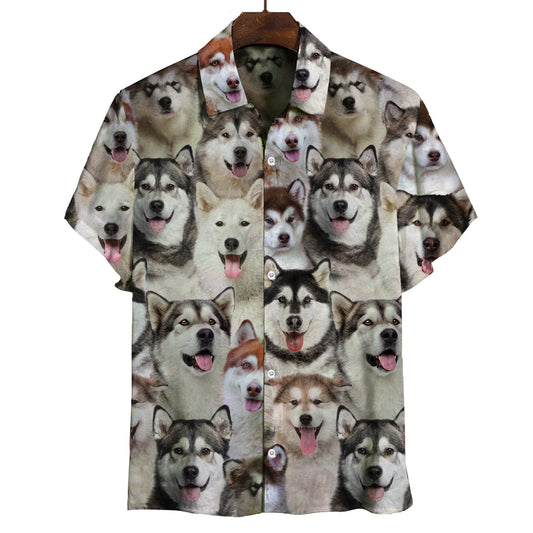 Joycorners You Will Have A Bunch Of Alaskan Malamutes All Over Printed 3D Hawaiian shirt