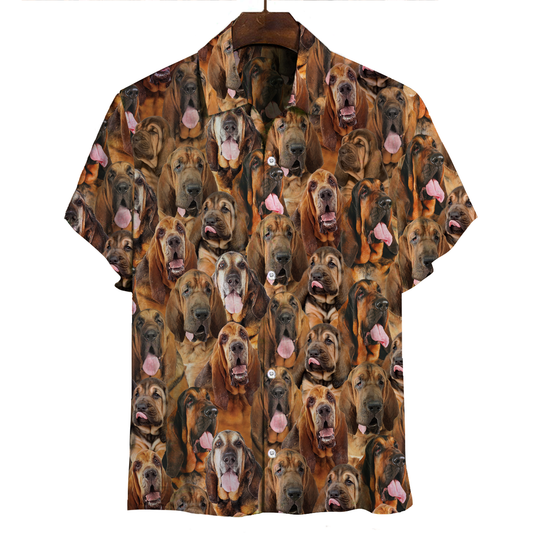 Joycorners You Will Have A Bunch Of Bloodhounds All Over Printed 3D Hawaiian shirt