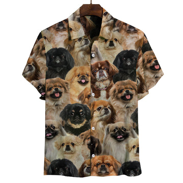 Joycorners You Will Have A Bunch Of Pekingeses All Over Printed 3D Hawaiian shirt