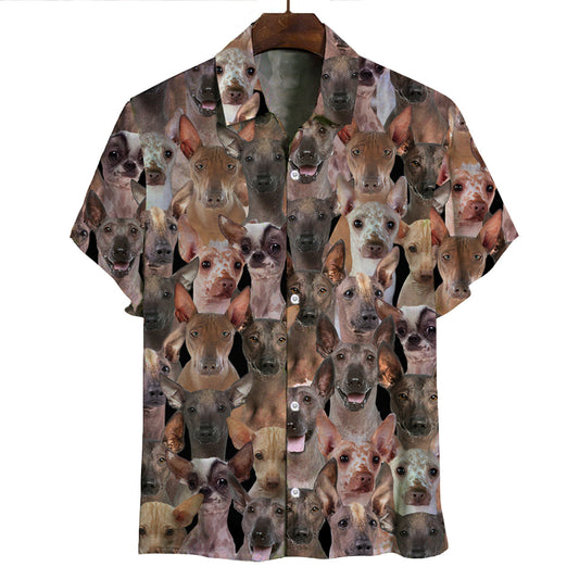 Joycorners You Will Have A Bunch Of Peruvian Inca Orchids All Over Printed 3D Hawaiian shirt