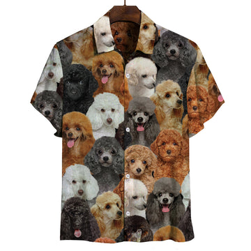 Joycorners You Will Have A Bunch Of Poodles All Over Printed 3D Hawaiian shirt