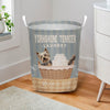 Joycorners Yorkshire Terrier Dog Wash & Dry Laundry Basket